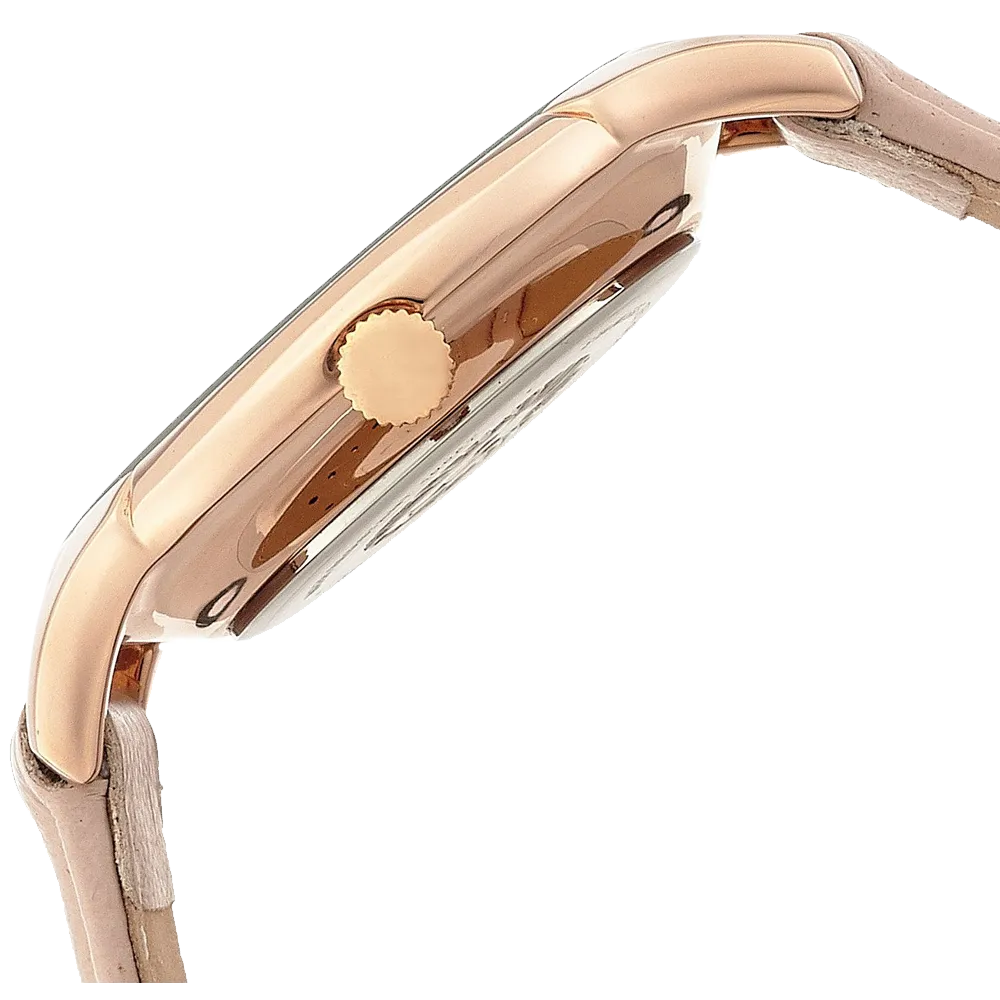 Anne Klein Women's AK 1010RGLP Rose Gold Tone Watch with Swarovski Crystals and Leather Band