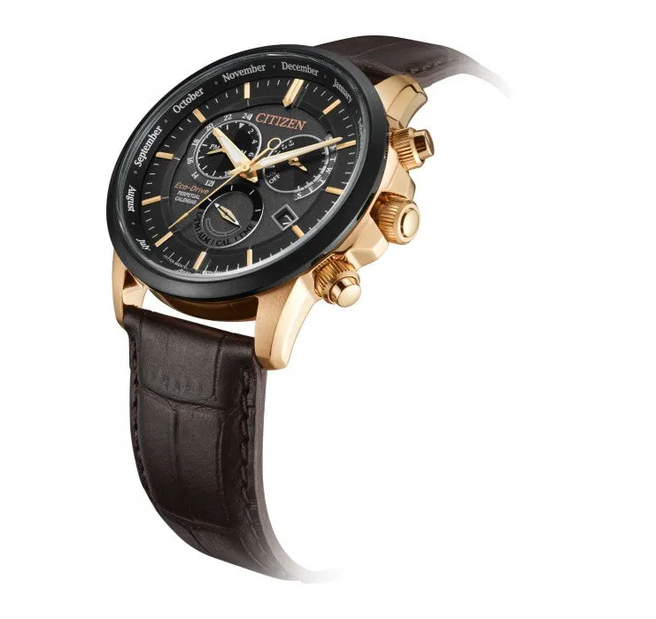 Citizen Eco-Drive Perpetual Calendar BL8156-12E