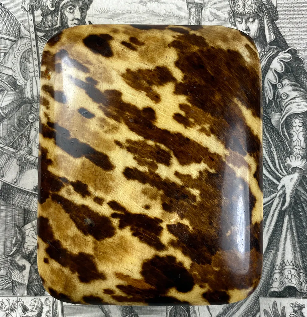 Fine Antique French Jewelry or Watch Box, Etui, Case in Stunning Tortoise Shell