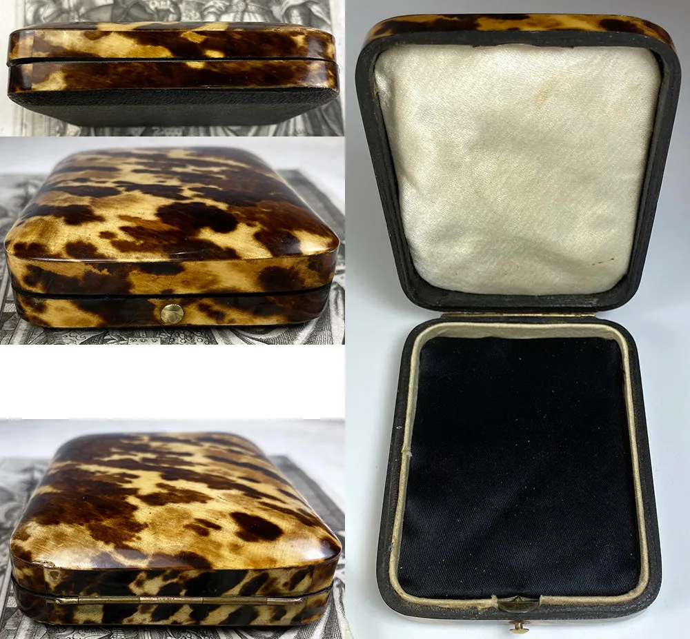 Fine Antique French Jewelry or Watch Box, Etui, Case in Stunning Tortoise Shell