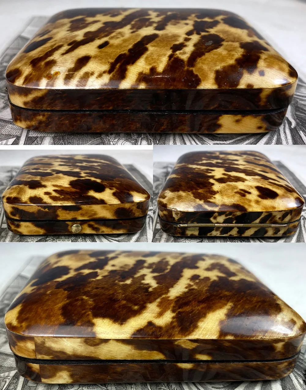 Fine Antique French Jewelry or Watch Box, Etui, Case in Stunning Tortoise Shell