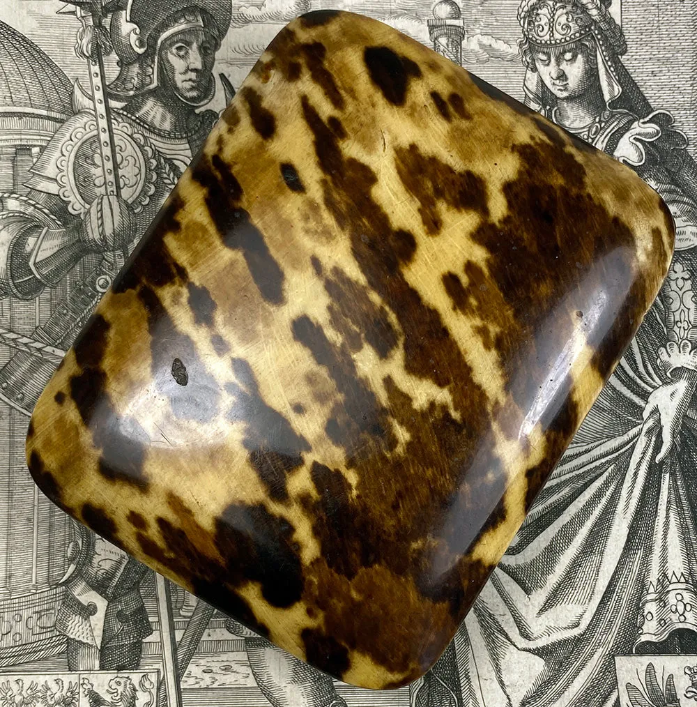 Fine Antique French Jewelry or Watch Box, Etui, Case in Stunning Tortoise Shell