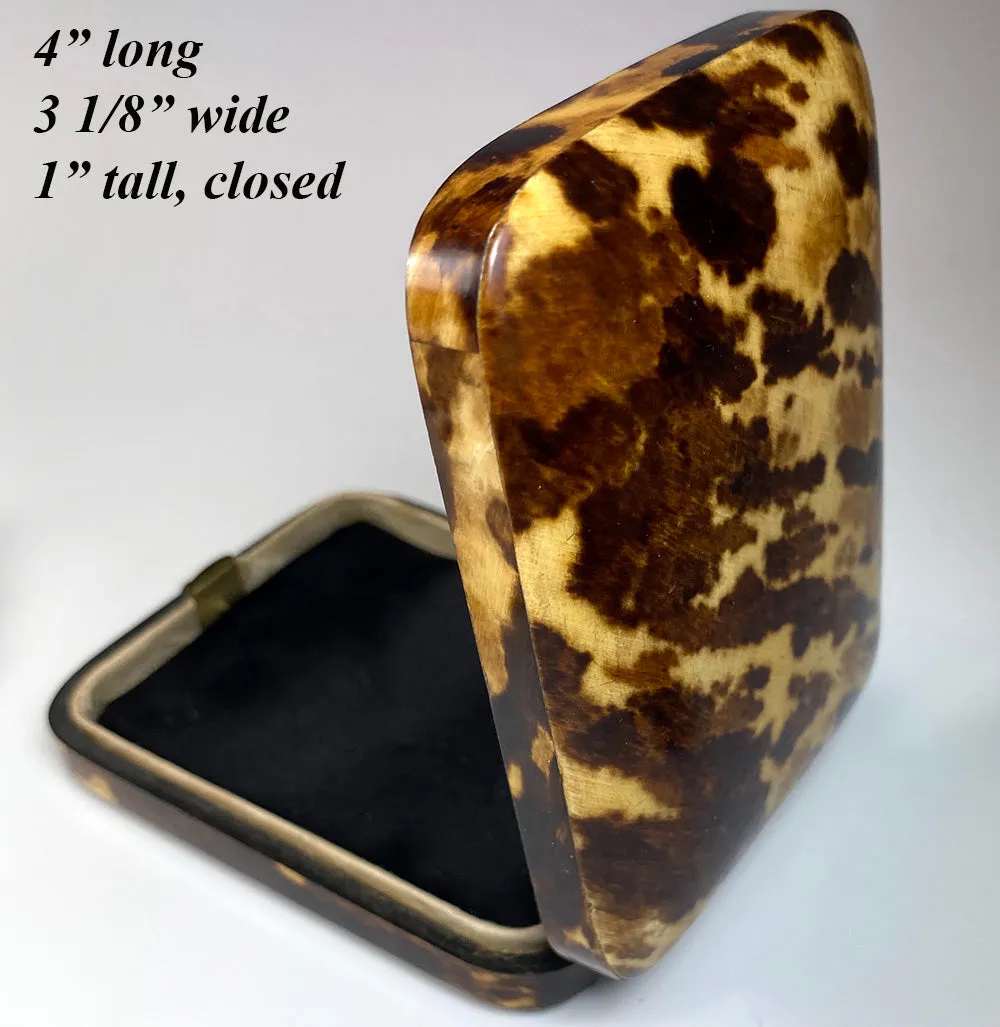 Fine Antique French Jewelry or Watch Box, Etui, Case in Stunning Tortoise Shell