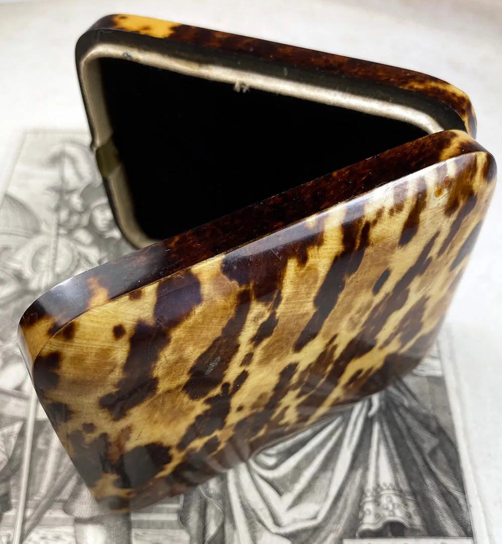 Fine Antique French Jewelry or Watch Box, Etui, Case in Stunning Tortoise Shell