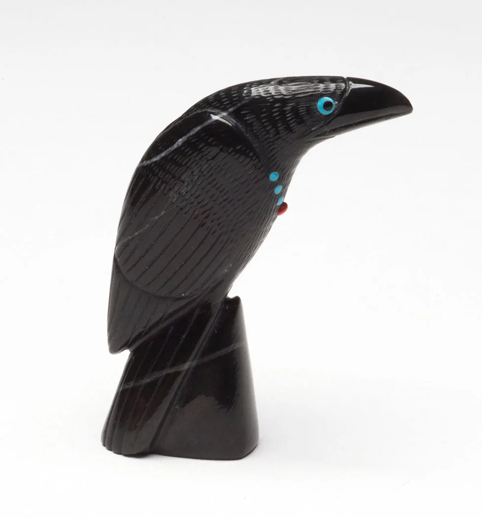 Handsome Raven