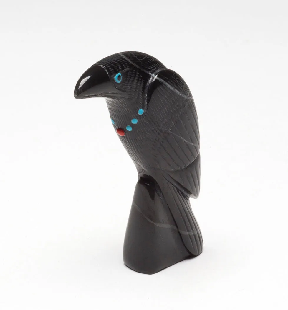 Handsome Raven