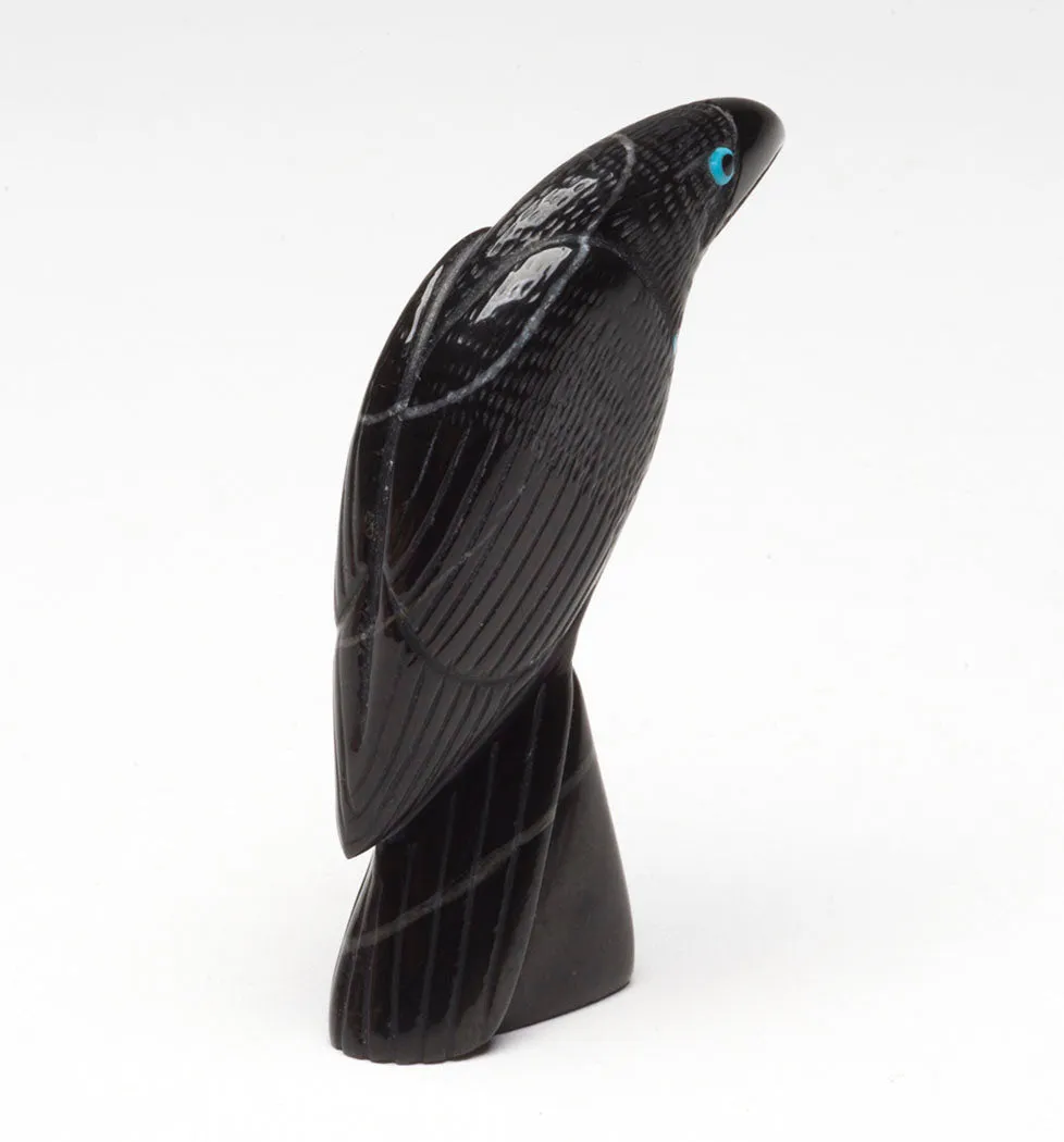 Handsome Raven