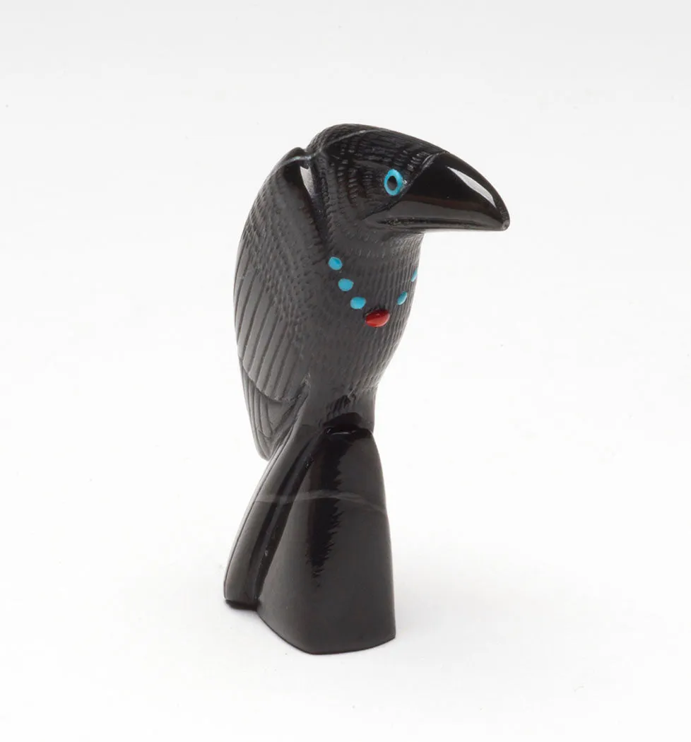 Handsome Raven