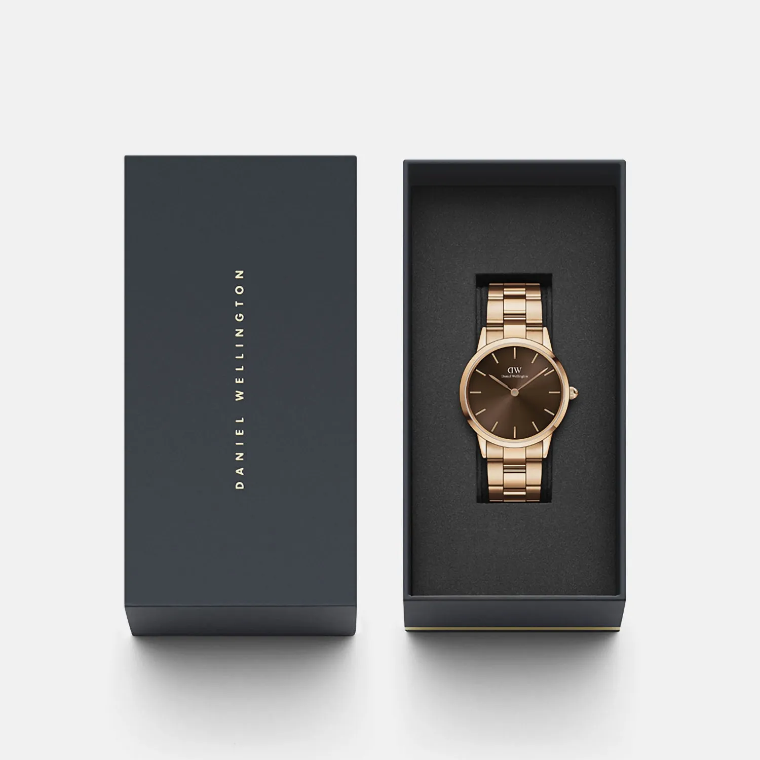 Iconic Women Brown Analog Stainless Steel Watch DW00100461K