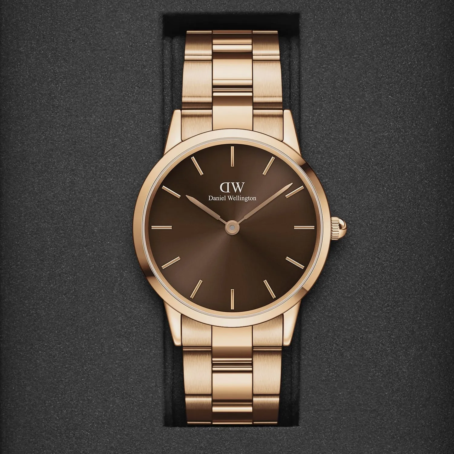 Iconic Women Brown Analog Stainless Steel Watch DW00100461K